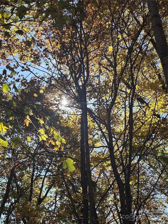 Lot 6 Miller Mountain Rd unit 6, Saluda, NC 28773 - photo 6