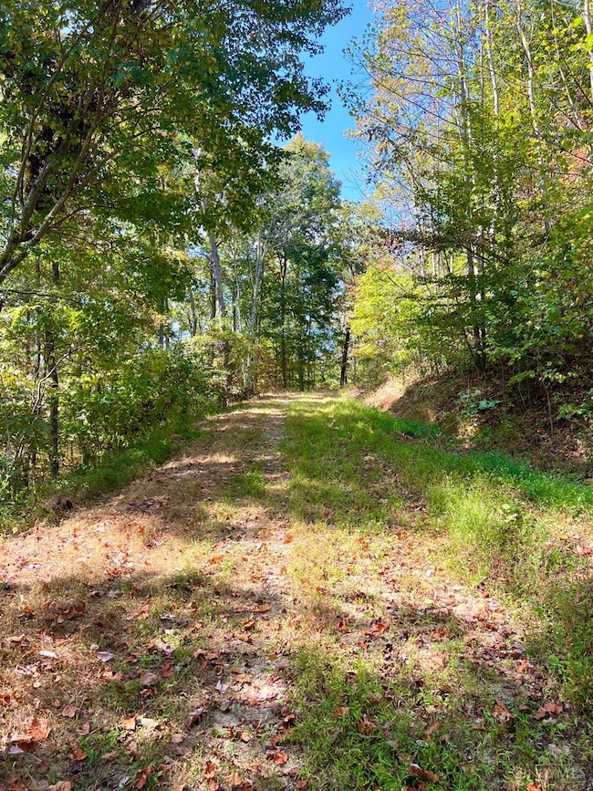 0 St Rt 348 unit 1855893, Jefferson Township, OH 45657 - photo 3