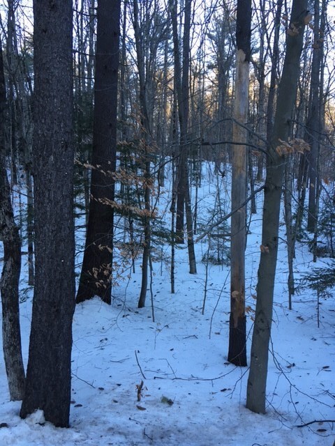 0 River Rd unit 4672950, Plymouth, NH 03264 - photo 2