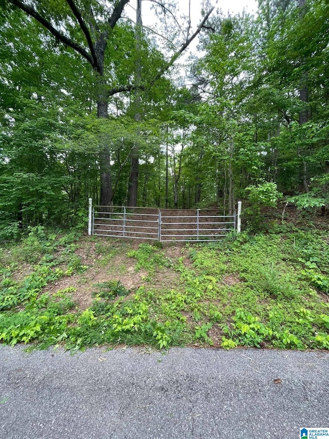 2215 Shiver Dr unit 2 lots, Bessemer, AL 35022 - photo 5