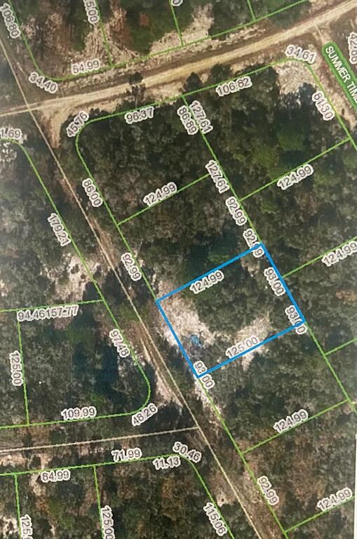 295 Blue Horizon Dr, Lake Placid, FL 33852 - photo 3