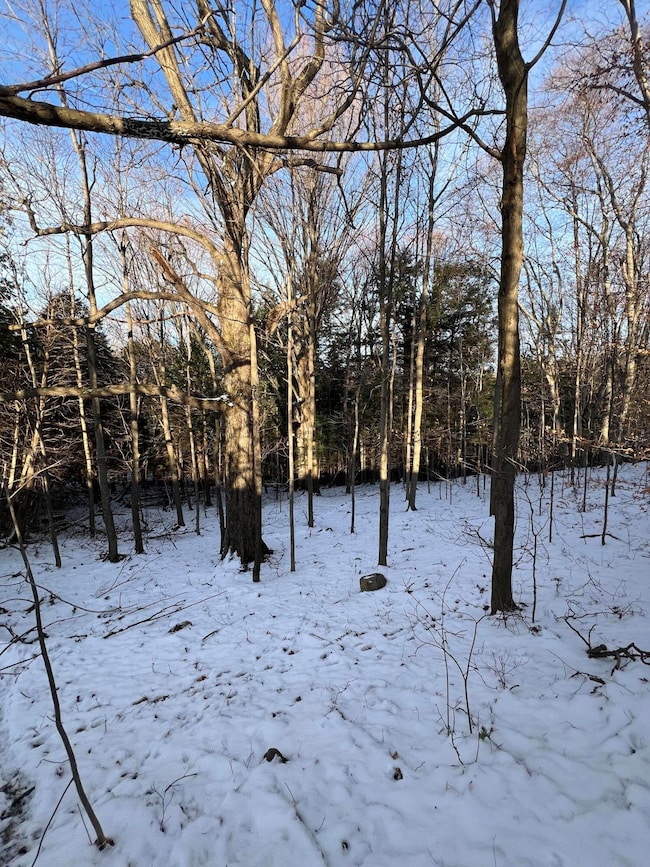 . Lewis Rd, Chateaugay, NY 12920 - photo 2