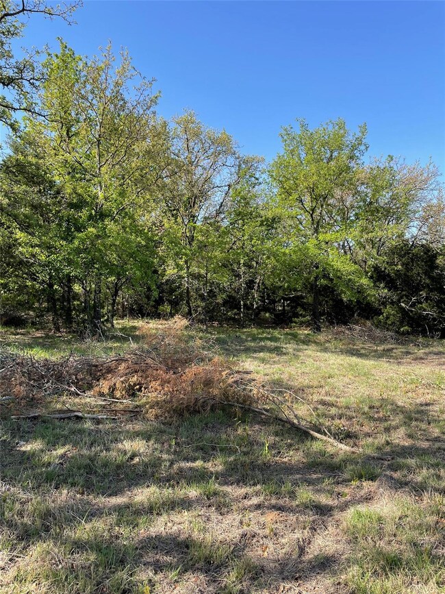 456 Cr 3791 Rd, Paradise, TX 76073 - photo 5