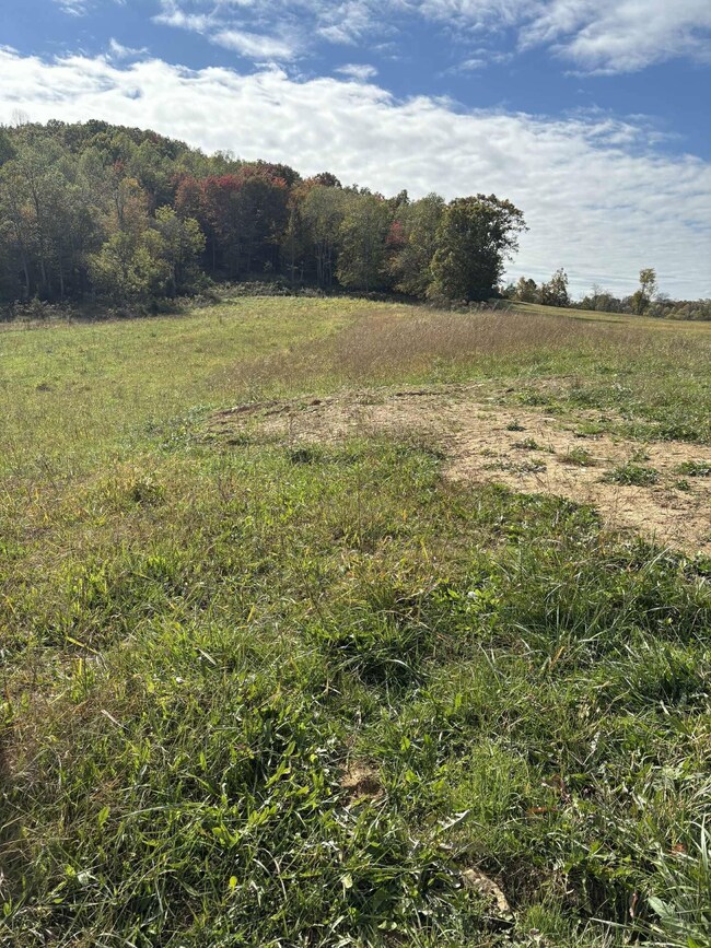 Pine Grove Ch Rd, Vanceburg, KY 41179 - photo 5