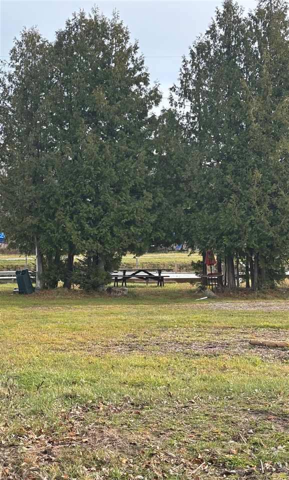 3141& 3145 Mingo Trail, Indian River, MI 49749 - photo 4