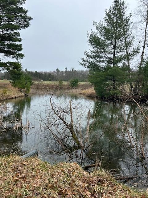 Pond