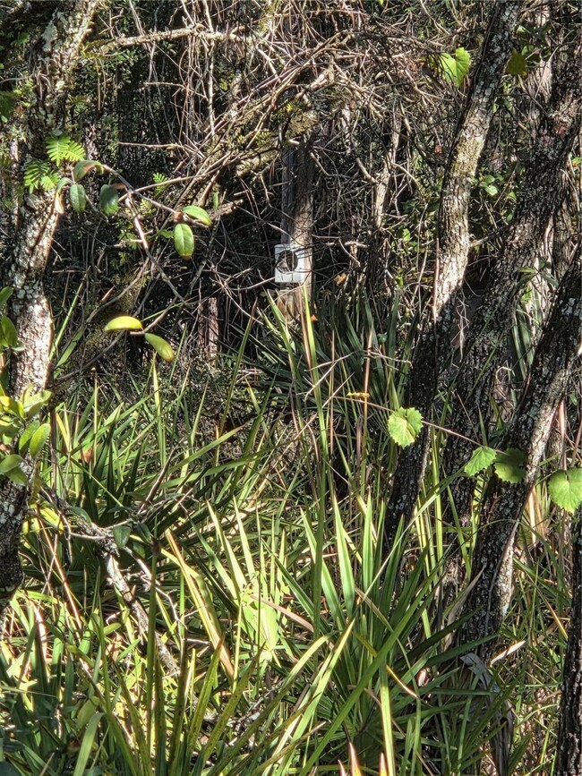 1351 R E Byrd Rd, Frostproof, FL 33843 - photo 6