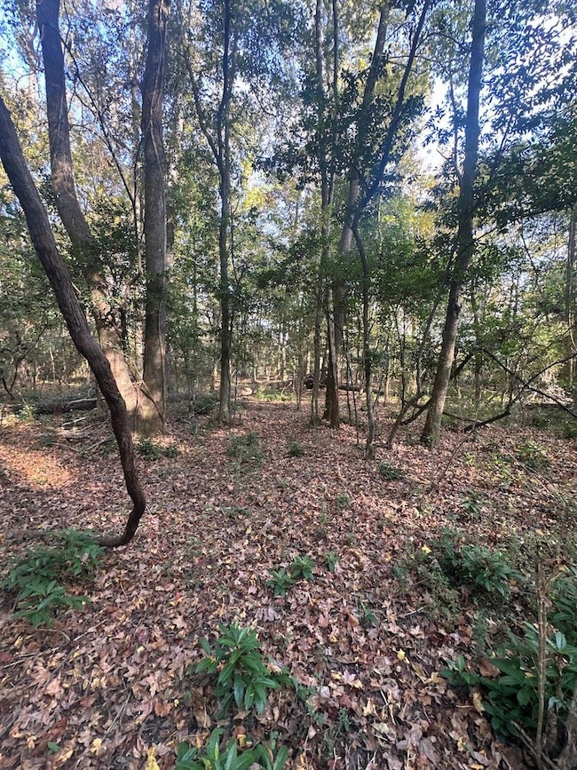 Trails End Rd unit LotWP001, Saint Francisville, LA 70775 - photo 3