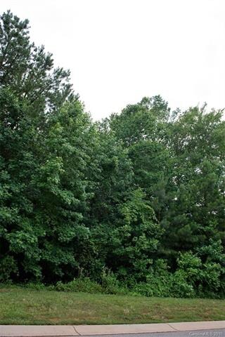Lot 66 Firethorn Ct unit 66, Denver, NC 28037 - photo 3