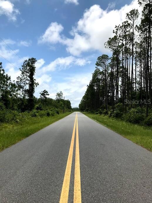 3824 NW Miller Rd, Altha, FL 32421 - photo 2