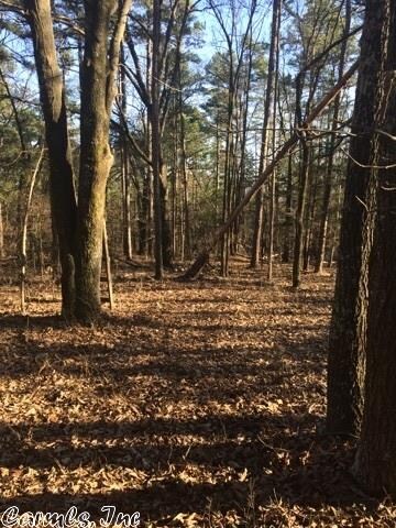 00 Greene Road 626, Paragould, AR 72450 - photo 2