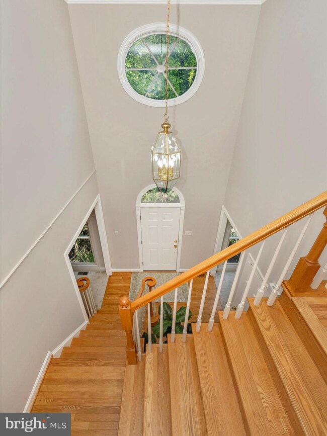 10014 Founders Way, Damascus, MD 20872 - photo 5