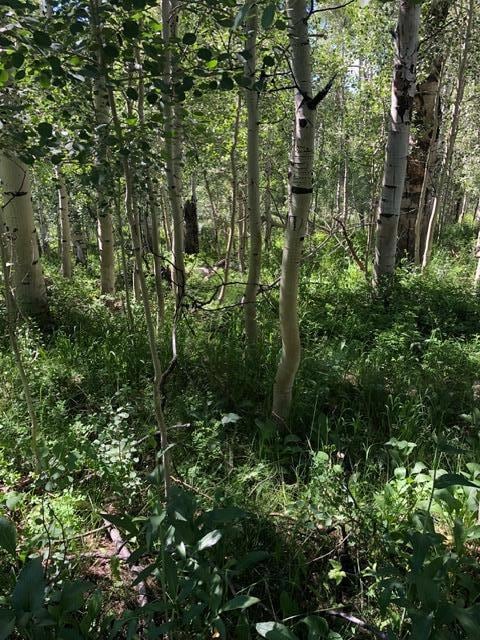 20 Acres Miners Peak, Cedar City, UT 84720 - photo 6