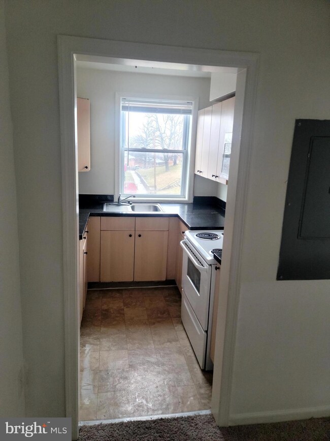 336 37th St SE unit 102, Washington, DC 20019 - photo 4