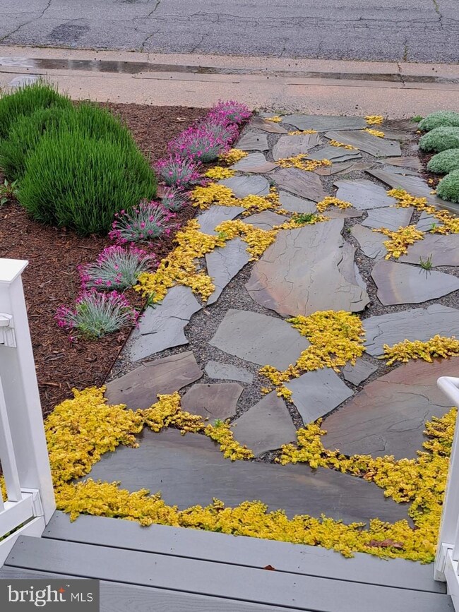 816 Jackson St, Colonial Beach, VA 22443 - photo 3