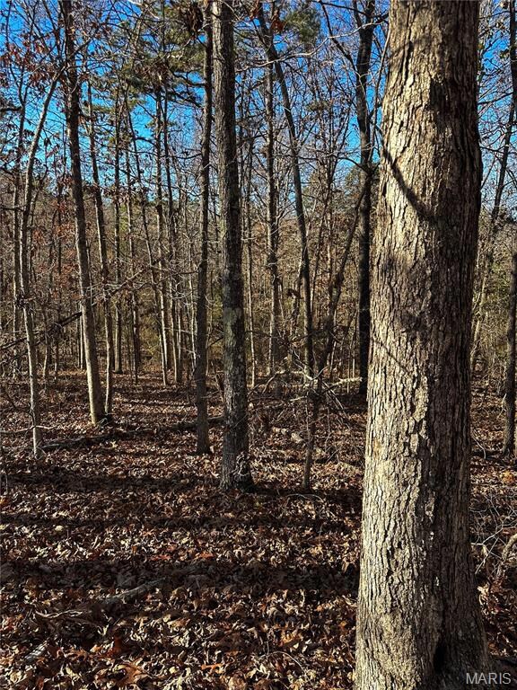 000 Ripley Route O, Grandin, MO 63943 - photo 7