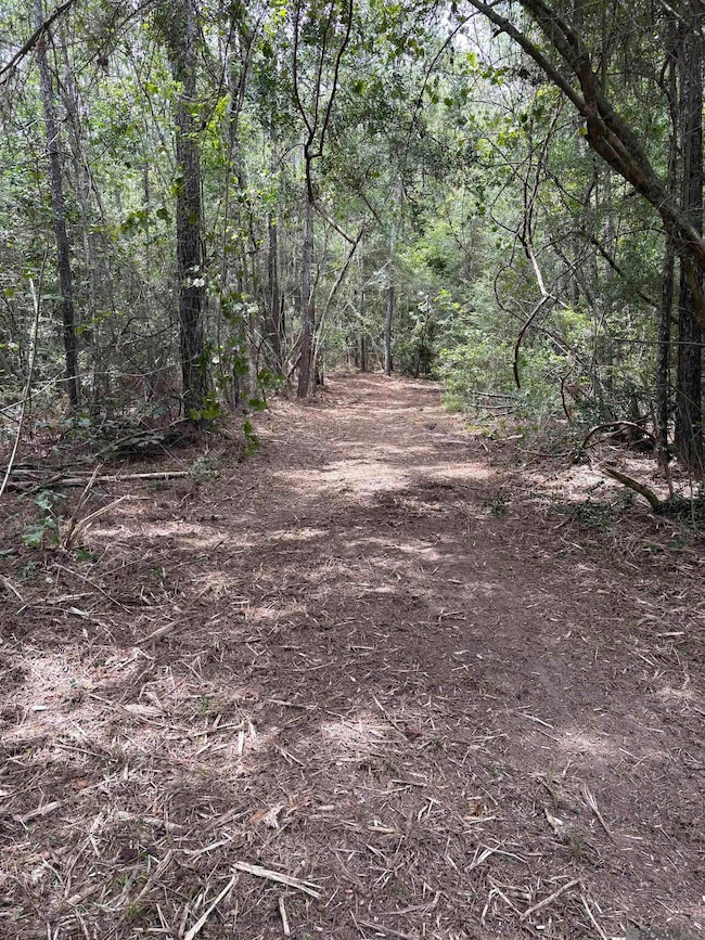 83194 Isabel Swamp Rd, Bush, LA 70431 - photo 4