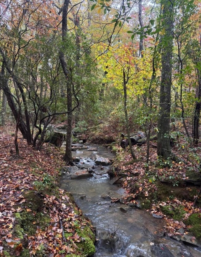 2795 Raulston Falls Rd, Jasper, TN 37347 - photo 2