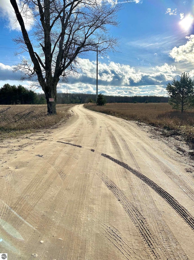 TBD Blackberry Ln, Star Township, MI 49730 - photo 4