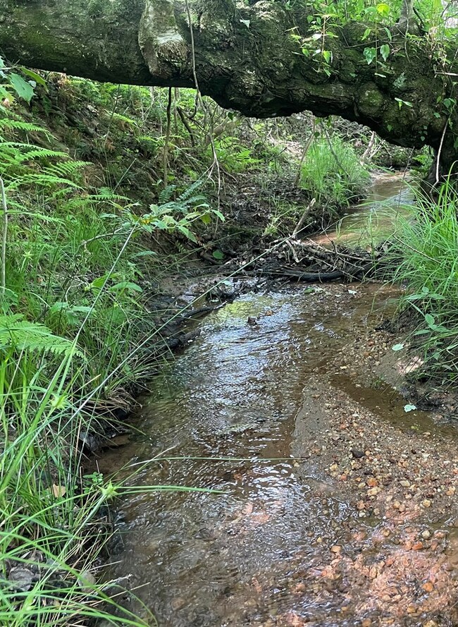 Small Stream on West Boundery of Property