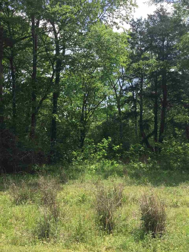 0 Bidon Place unit 33 1295805, Madison, MS 39110 - photo 3