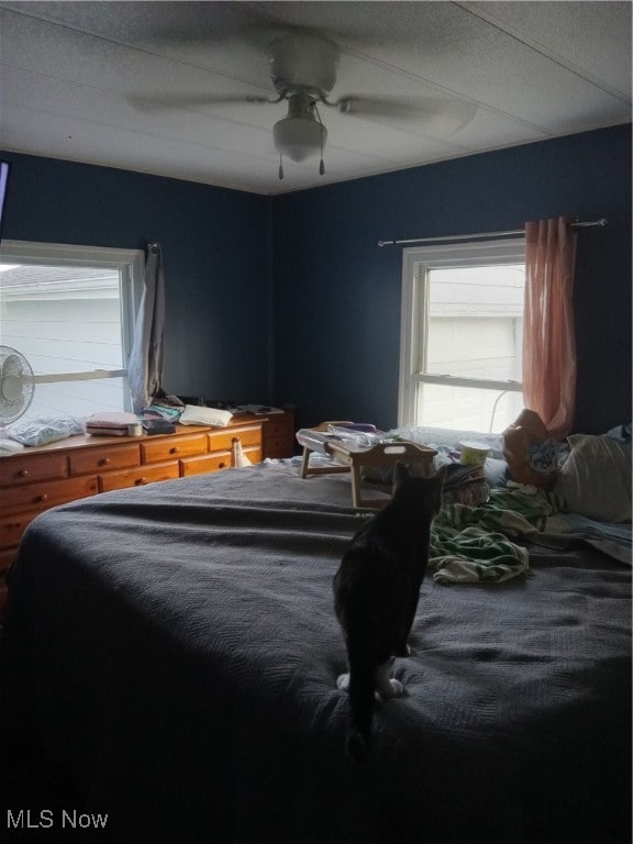Bedroom with ceiling fan