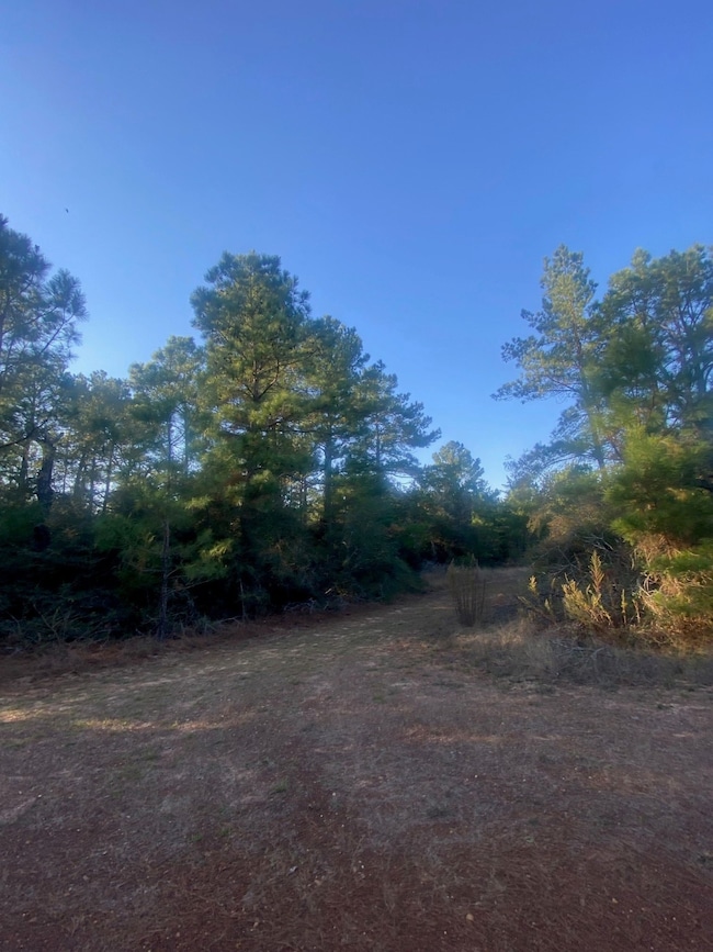 17922 Deerwood Dr, Hempstead, TX 77445 - photo 7