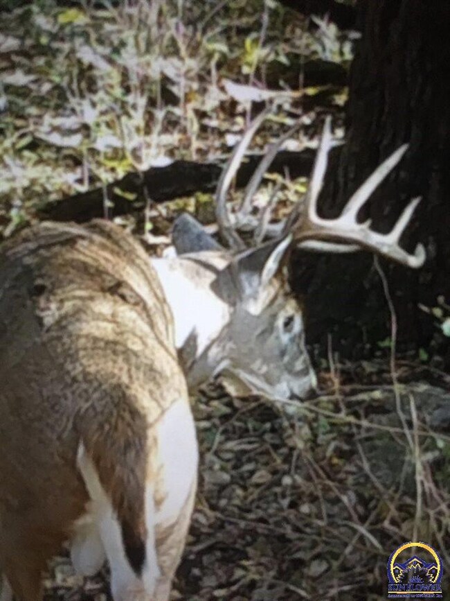 00000 106th Rd, Douglas, KS 66440 - photo 5