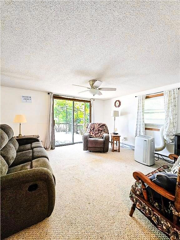 1508 Red Fox Rd, Climax Springs, MO 65324 - photo 6