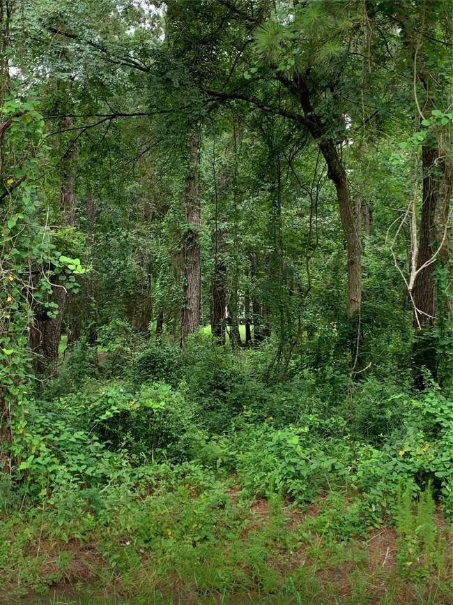 23906 Brushy Trails St, Hockley, TX 77447 - photo 2