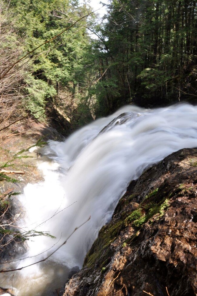 2930 Cote Hill Rd, Morrisville, VT 05661 - photo 5