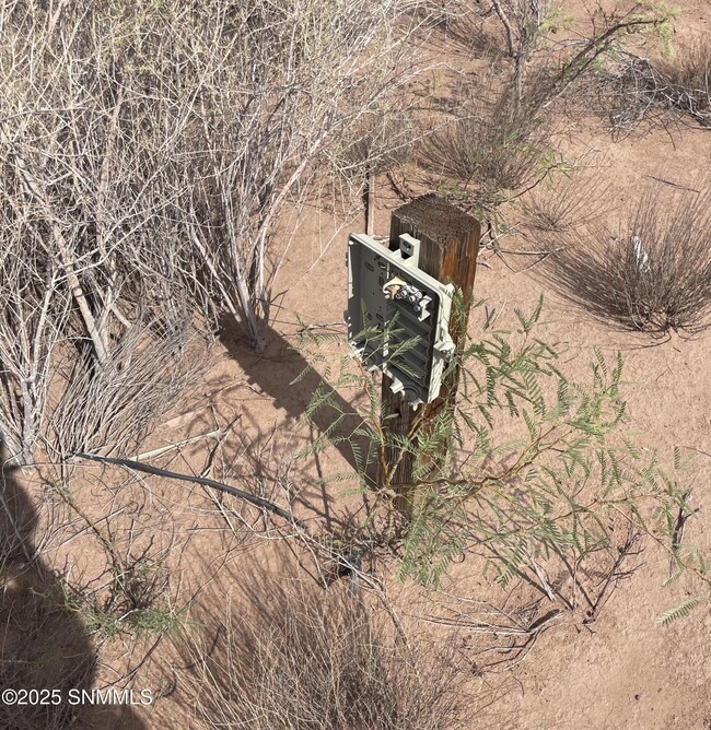 1770 Hatch Hwy, Deming, NM 88030 - photo 7