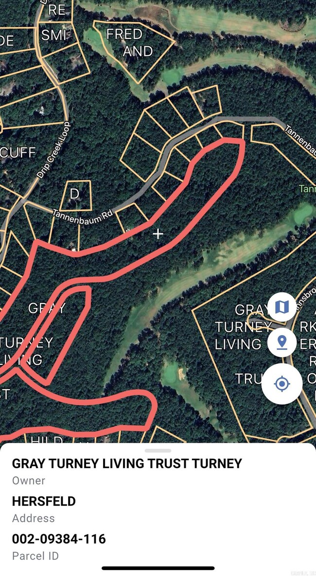 Lot 495 Hersfeld Rd, Drasco, AR 72530 - photo 3