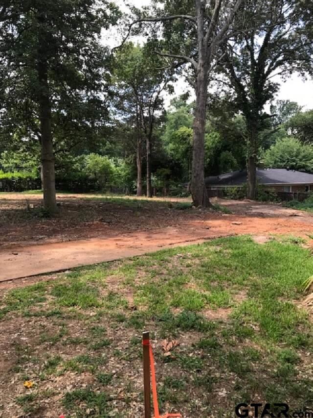 520 Troup Hwy, Tyler, TX 75701 - photo 2