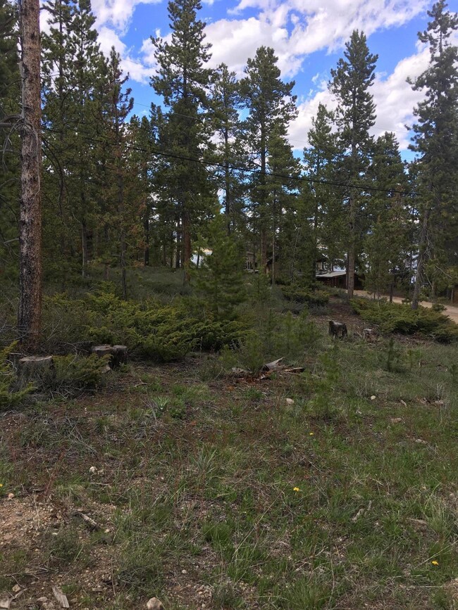 28 Gcr 6120, Granby, CO 80446 - photo 4