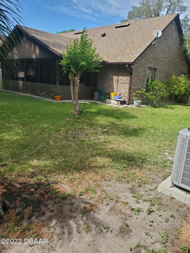back yard
