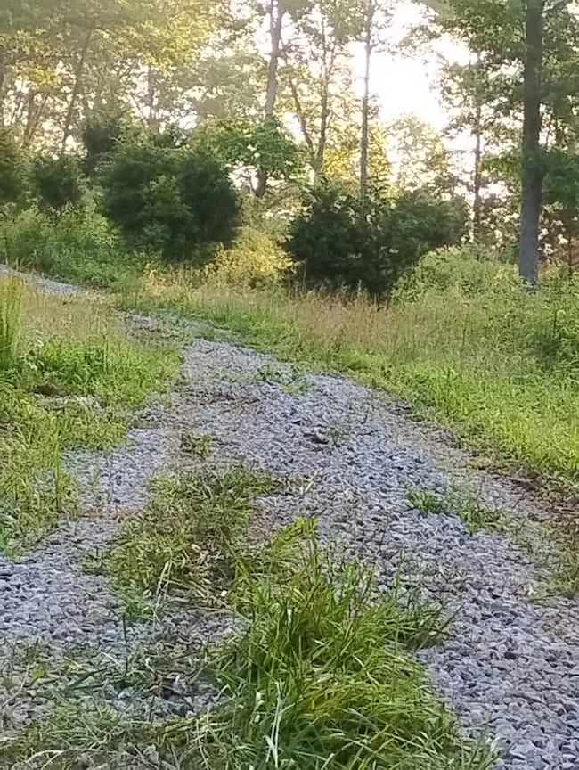 5631 Gest Rd, Defoe, KY 40057 - photo 7