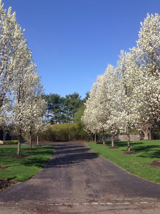 16 Candlelight Dr, Holmdel, NJ 07733 - photo 4