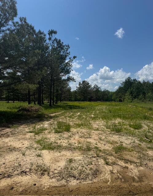 0 Locust Ln, Tupelo, MS 38801 - photo 4