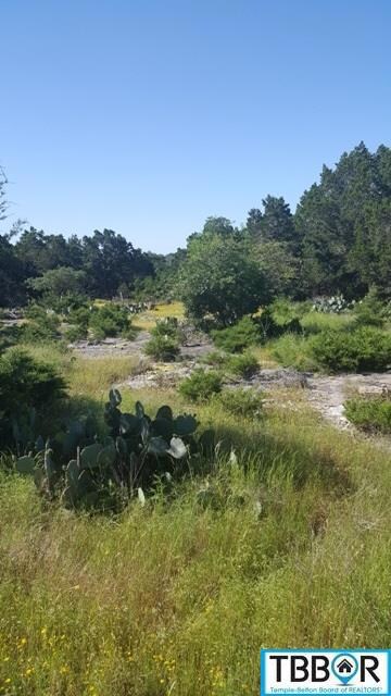 15957 Brazos Dr, Temple, TX 76502 - photo 2