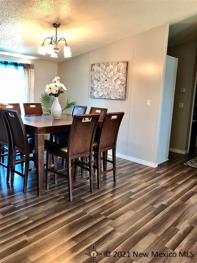 4307 Boyd Dr, Carlsbad, NM 88220 - photo 3