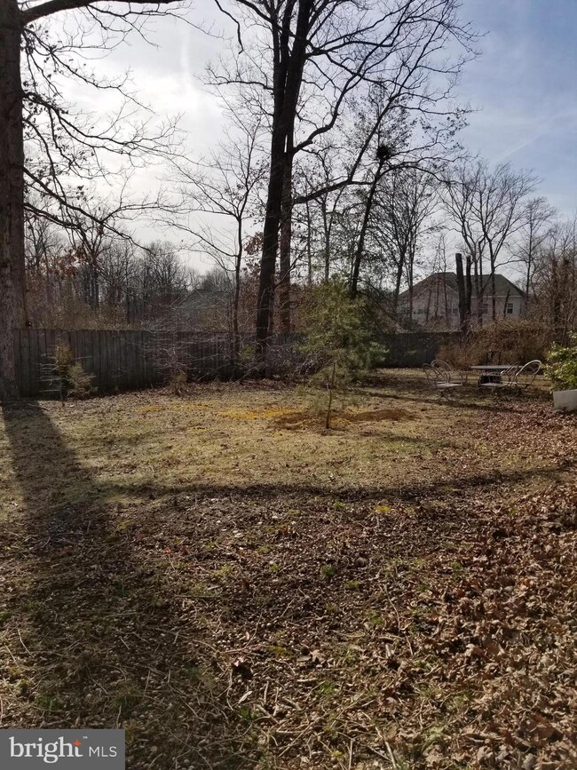 9909 Marguerita Ave, Glenn Dale, MD 20769 - photo 4