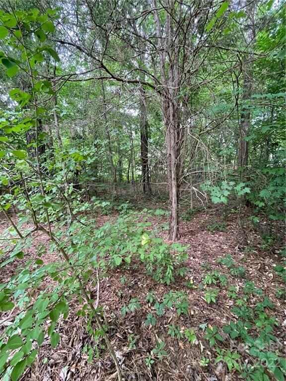 0000 Bevis Ln, Statesville, NC 28677 - photo 4