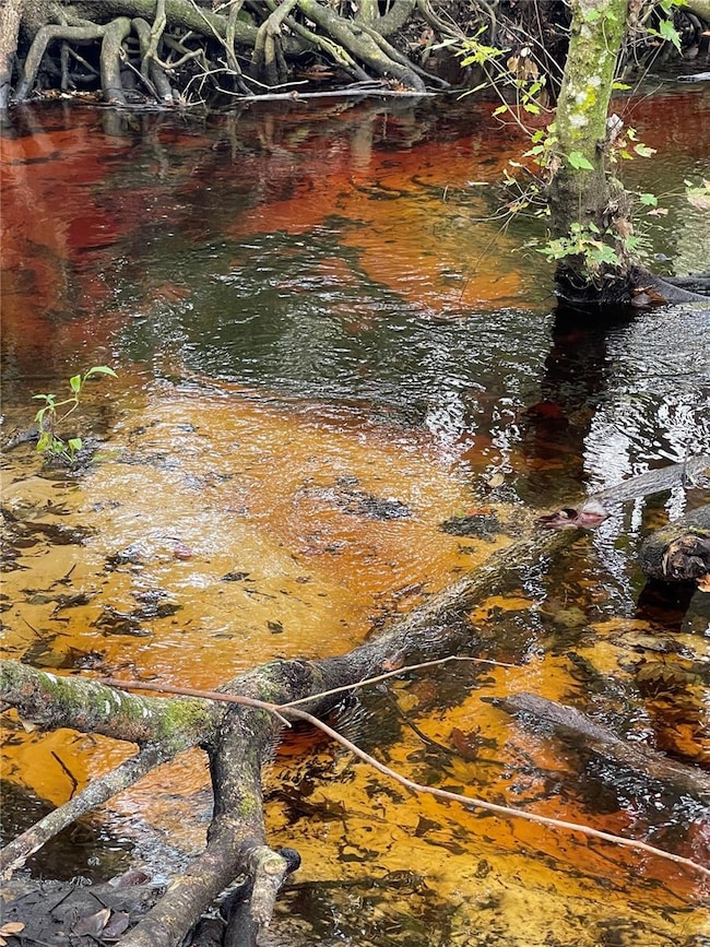 0 Ross Creek Rd, Lakeland, FL 33810 - photo 3