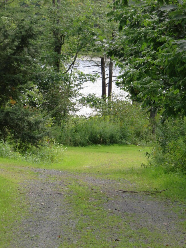 Access Road to Lake Quinn
