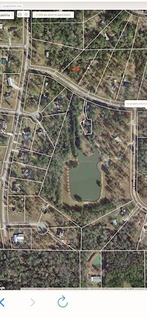 24680 Oak Hollow Blvd, Hockley, TX 77447 - photo 3