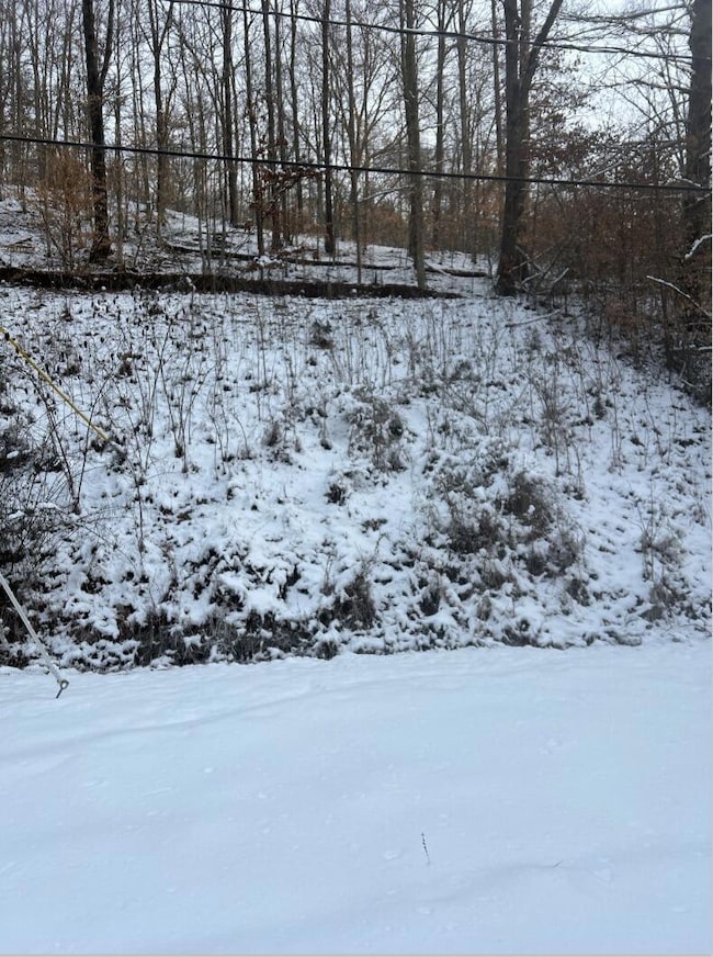 Web capture_21-1-2025_12512_
