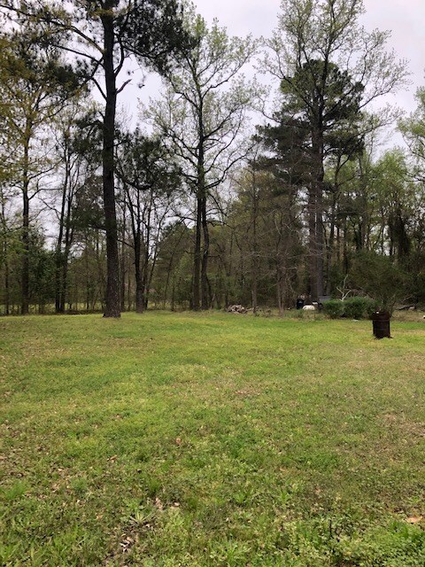 4889 Washington Rd, Evans, GA 30809 - photo 4