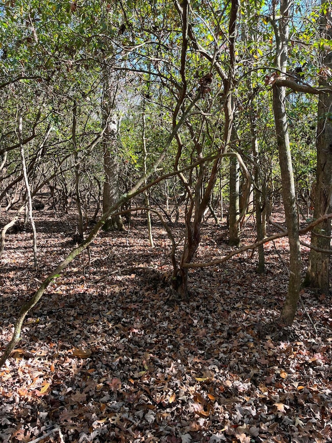 5 Acres Hendon Rd, Graysville, TN 37338 - photo 7