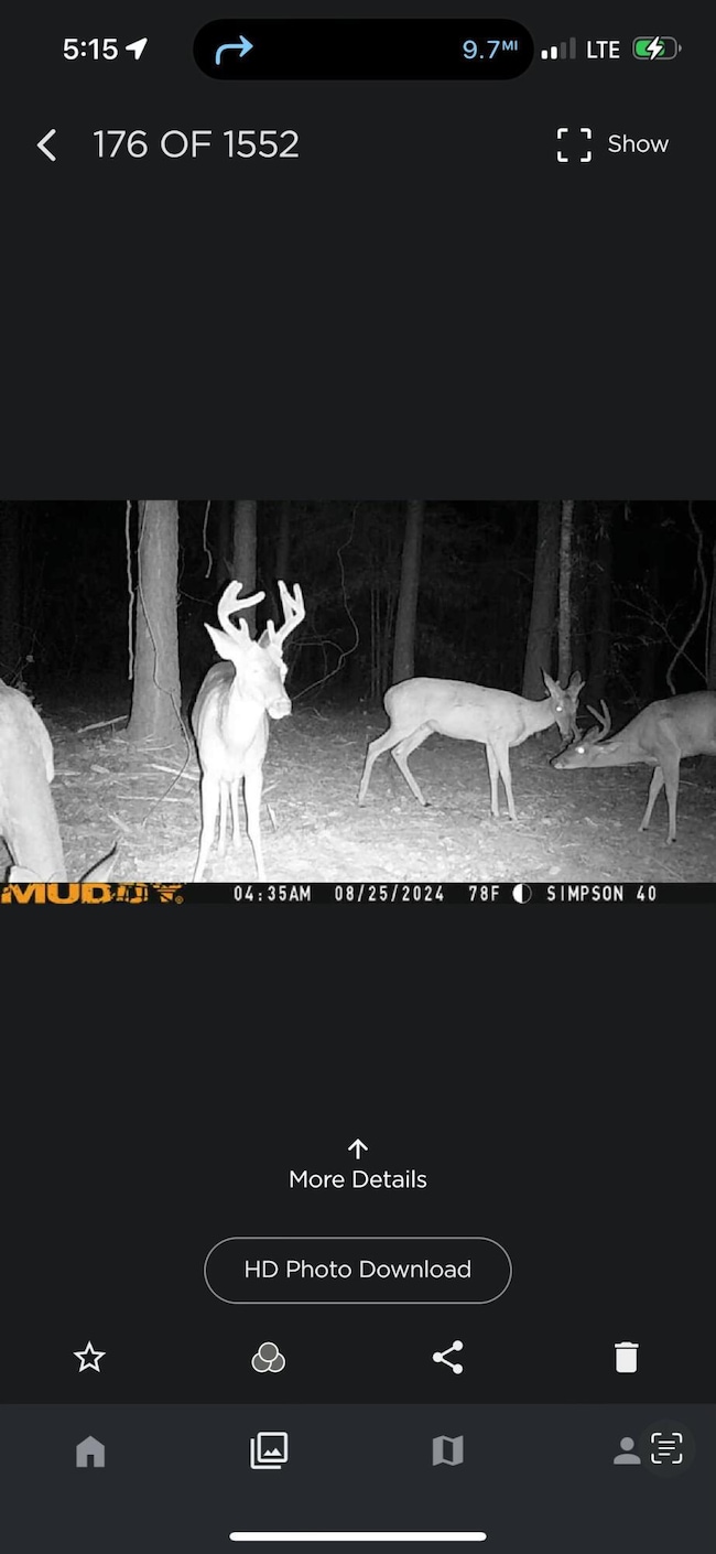 242 Dan George Rd, Mendenhall, MS 39114 - photo 4